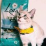 Lenda Kitten Original comida para gatos jóvenes